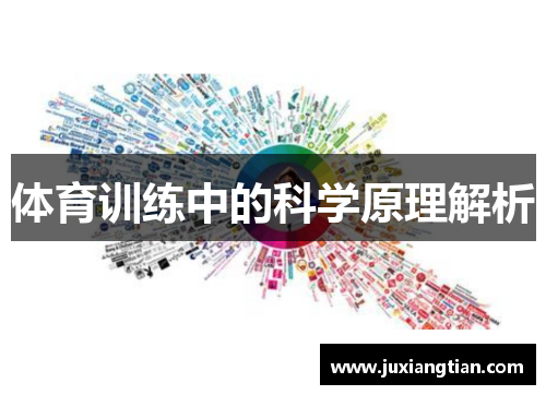 体育训练中的科学原理解析